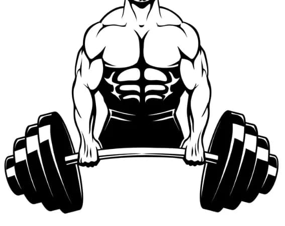 Jenis-Jenis Latihan Fitness: Gym Training, CrossFit, Calisthenics, Bodybuilding, Powerlifting, dan Strongman